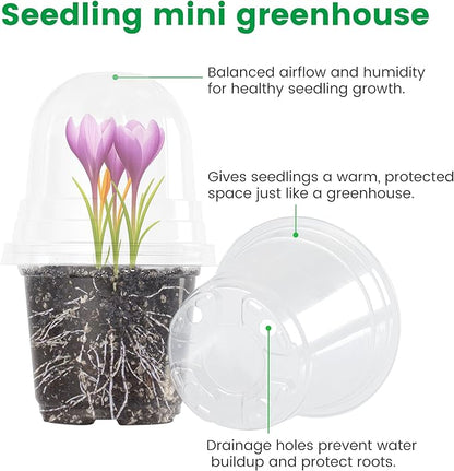 36 Packs 5/4/3.5 Inch Clear Nursery Pots