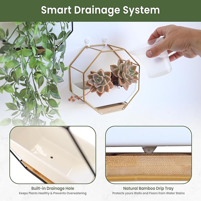 IRYL Wall Planter for Indoor Plants
