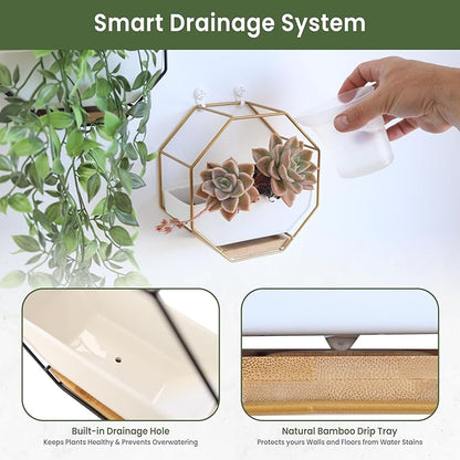 IRYL Wall Planter for Indoor Plants