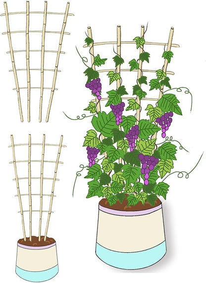 Natural Bamboo Trellis, Fan-Shaped Plant Support Trellis