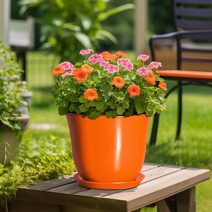 12 Inch Pots for Plants