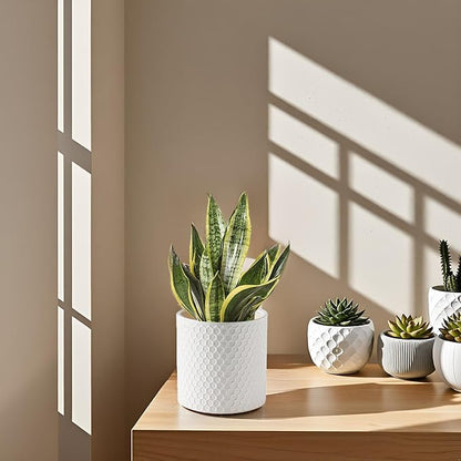 Docrin Ceramic Planters Indoor, 8 Inch Plant Pot