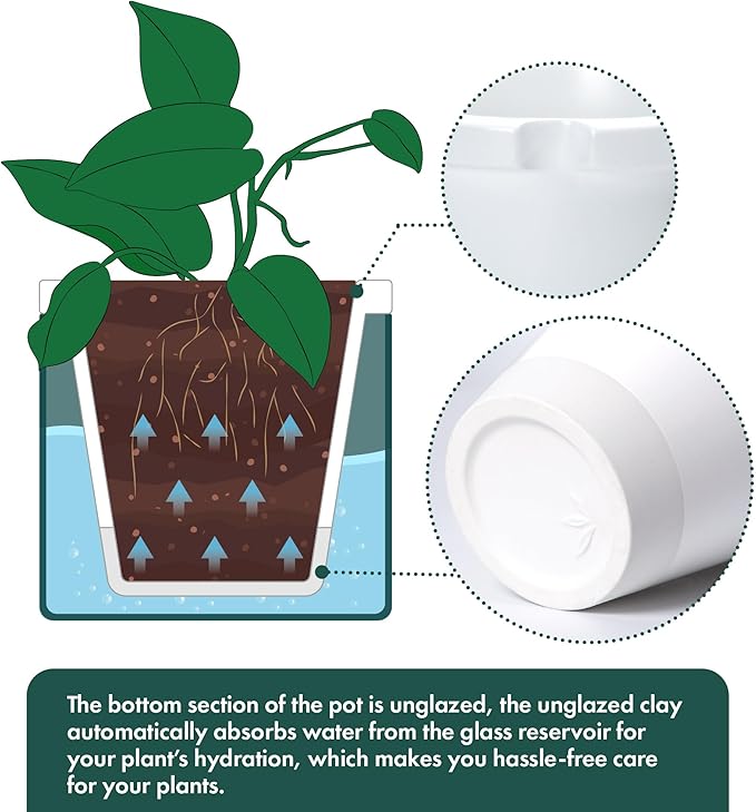D'vine Dev 8 Inch Design Self Watering Planter