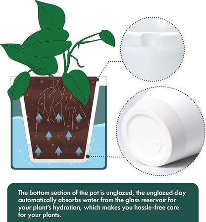 D'vine Dev 8 Inch Design Self Watering Planter
