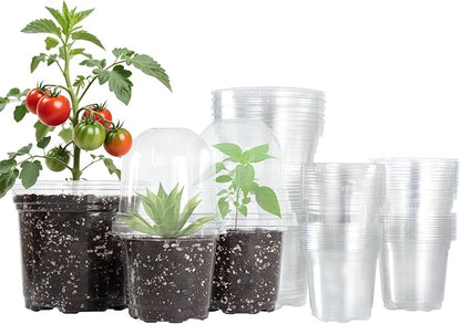 36 Packs 5/4/3.5 Inch Clear Nursery Pots