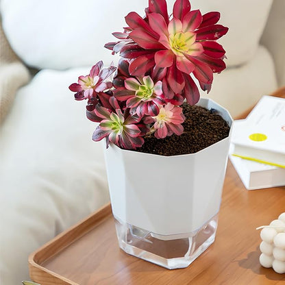 3 Pack Self Watering Flower Pots 6.5 Inch, Plant Pots