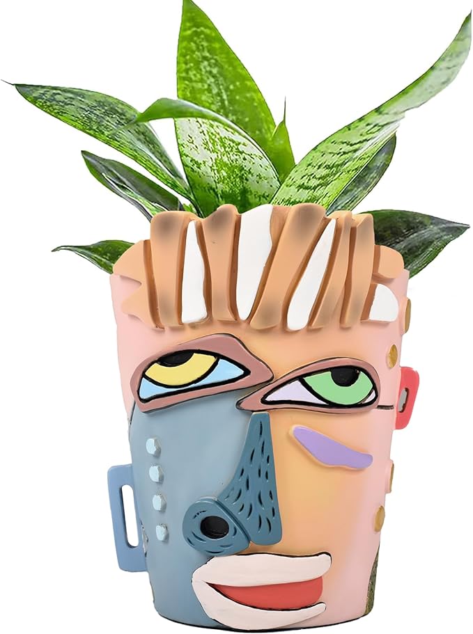 Abstract Face Planters Pots Head, Unique Head Planter