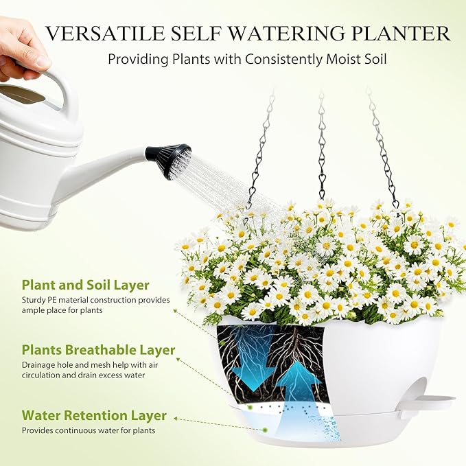 12 Inch Hanging Baskets 2 PC