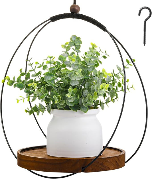 1 Pack Hanging Planters for Indoor Black Plant Hanger
