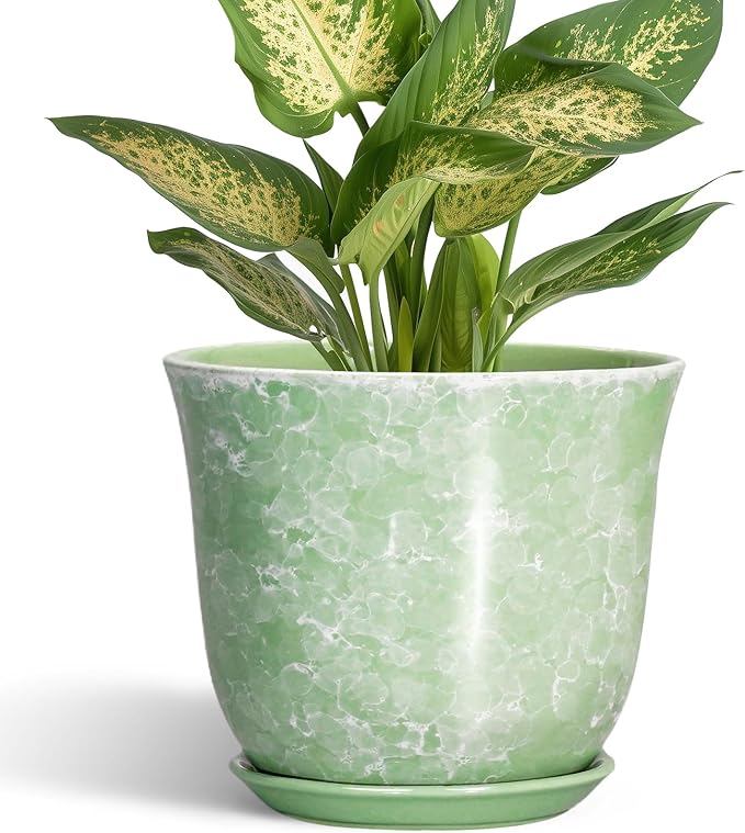Ceramic Plant Pots