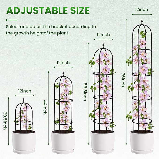 Garden Obelisk Trellis for Climbing Plants