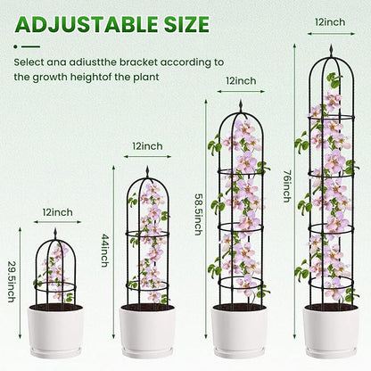 Garden Obelisk Trellis for Climbing Plants