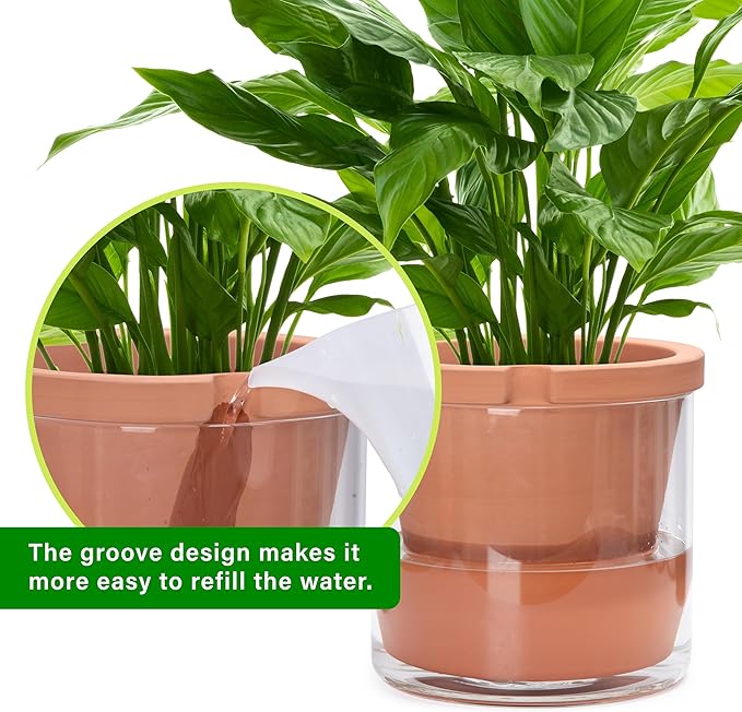 D'vine Dev 10 Inch Design Self Watering Pot