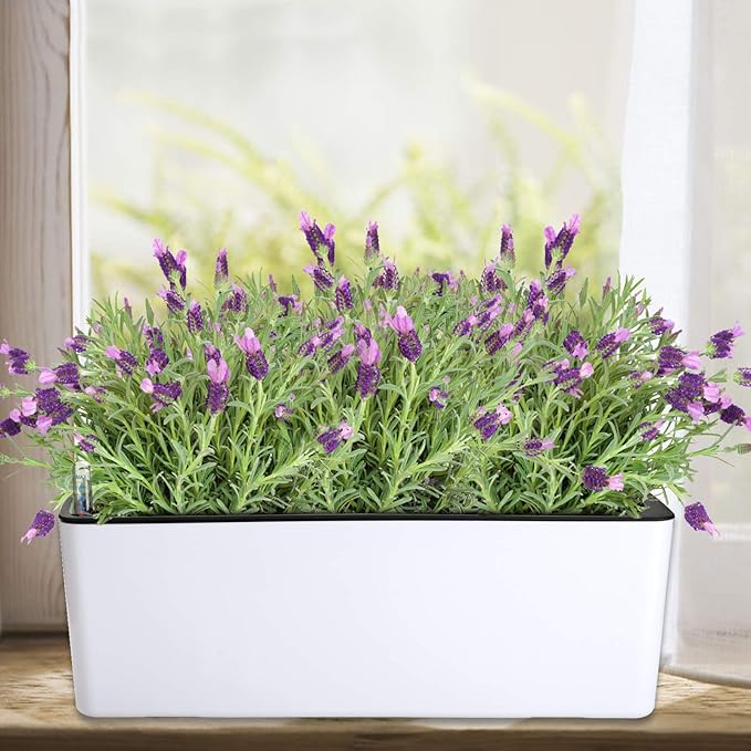 Fasmov 2 Pack Rectangle Self Watering Planter