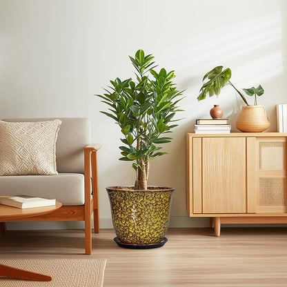 12 Inch Plant Pot