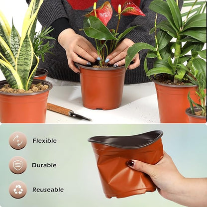 200 Pack 6 Inch Plastic Nursery Pots