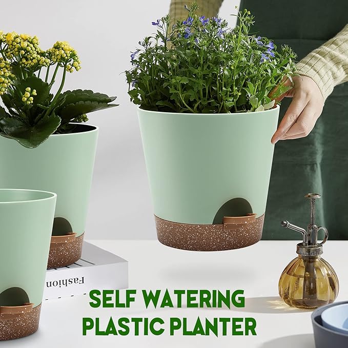 Indoor Self Watering Planters