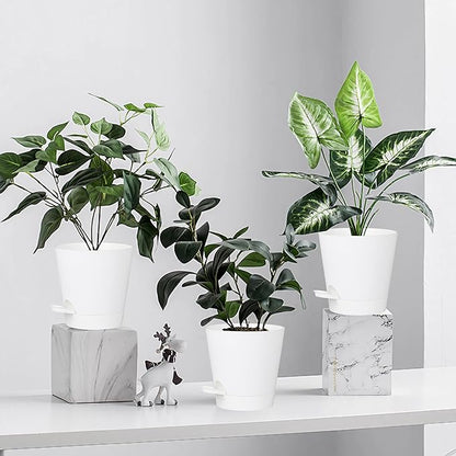 5 Pack 5 inch Self-Watering Pots, African Violets Planter