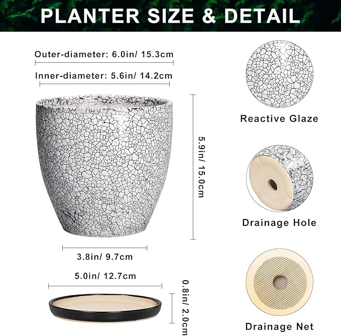 Ceramic Plant Pots