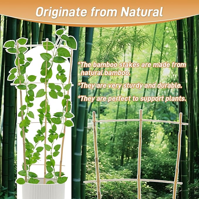 10 Pack 3ft Bamboo Trellis for Climbing Plants