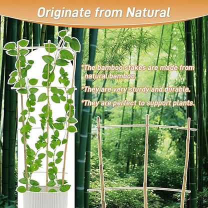 10 Pack 3ft Bamboo Trellis for Climbing Plants