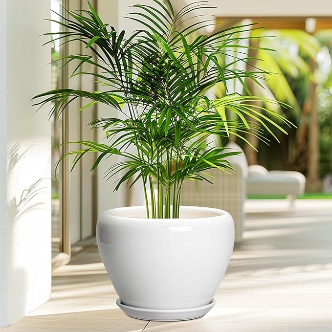 Ceramic Pot for Plants