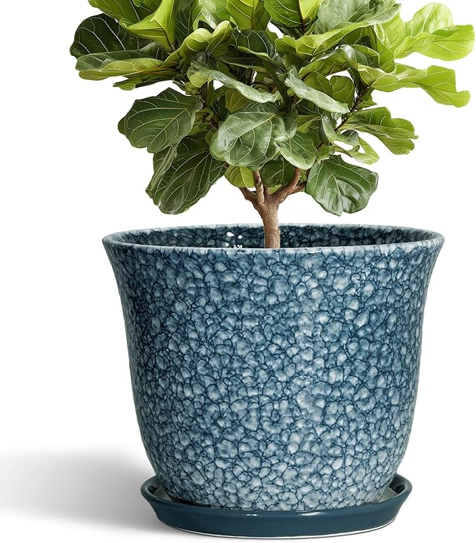 Ceramic Plant Pots