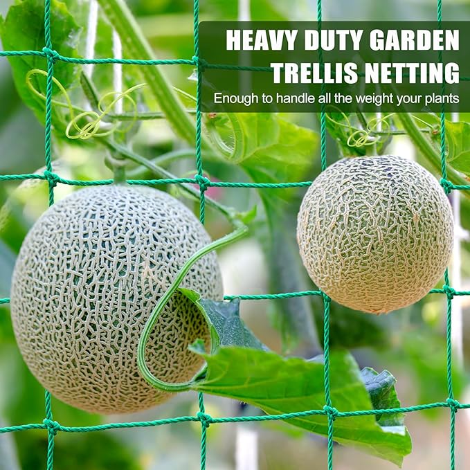 Garden Trellis Netting