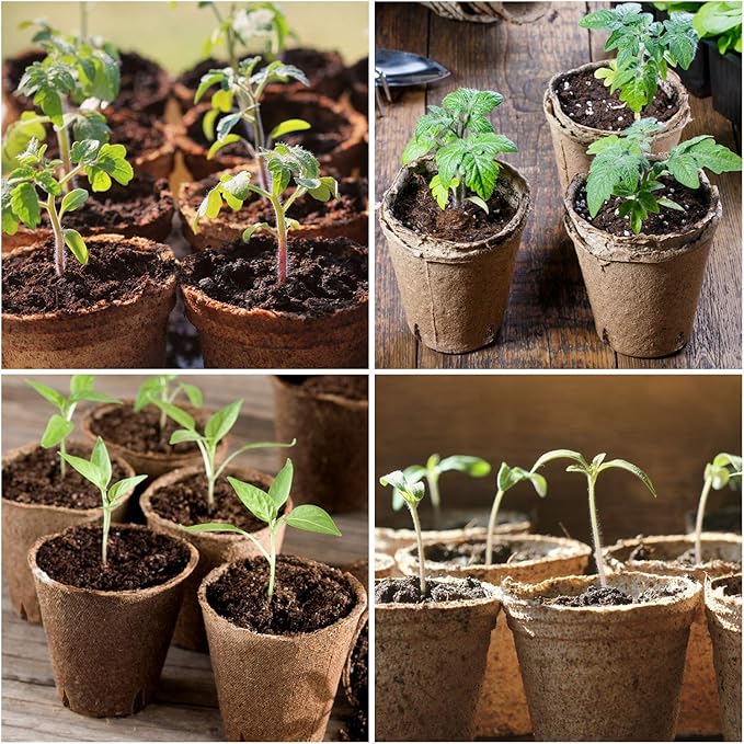 homenote Peat Pots