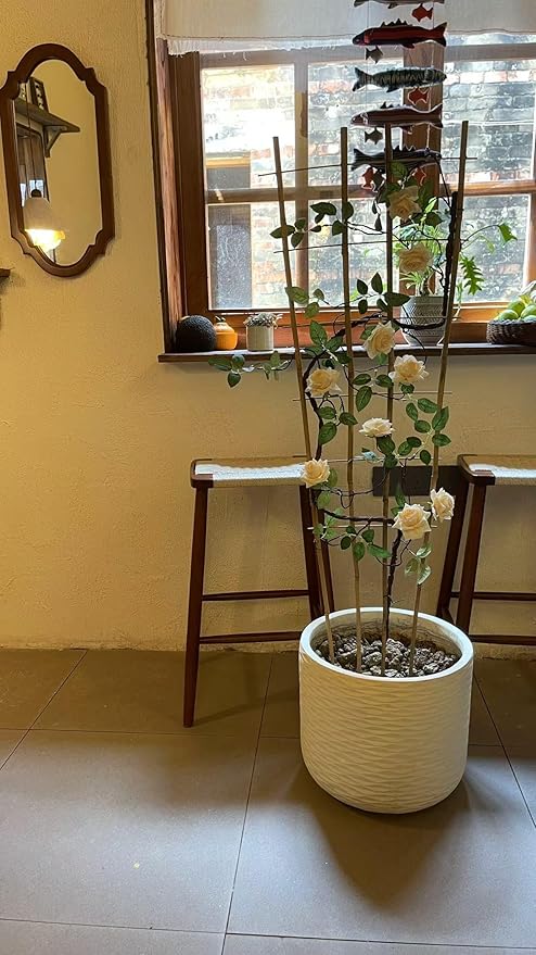 Natural Bamboo Trellis, Fan-Shaped Plant Support Trellis