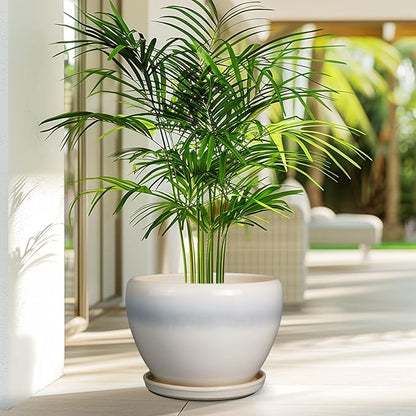 10 Inch Ceramic Planter Pot