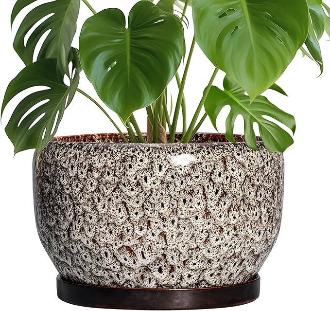 SQOWL Ceramic Plant Pots