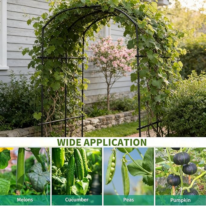 DoCred Tall Garden Arch Trellis