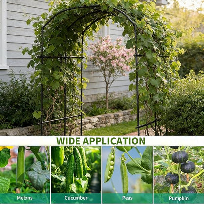 DoCred Tall Garden Arch Trellis