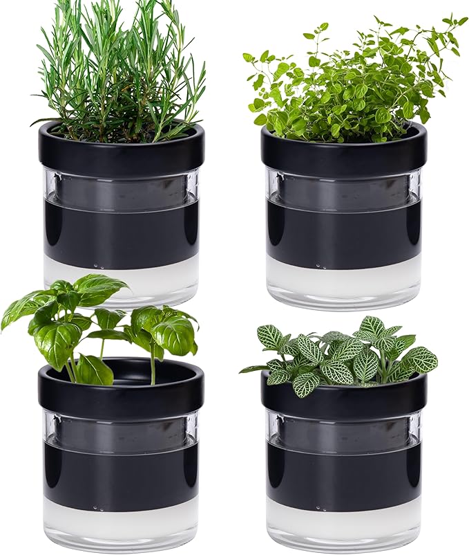 Phoenix Vine 4 Inch Self Watering Planter Pot