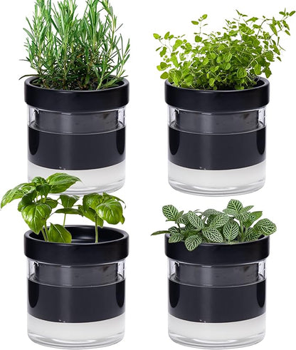 Phoenix Vine 4 Inch Self Watering Planter Pot