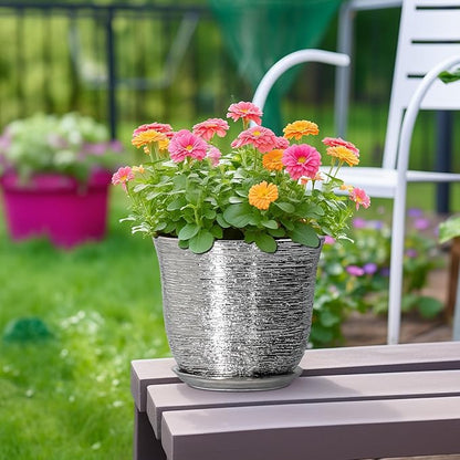 Ceramic Pots for Plants