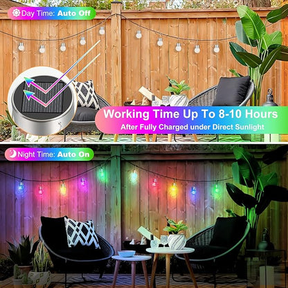 12Pack Outdoor Hanging Solar Lights