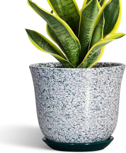 Ceramic Pots for Plants
