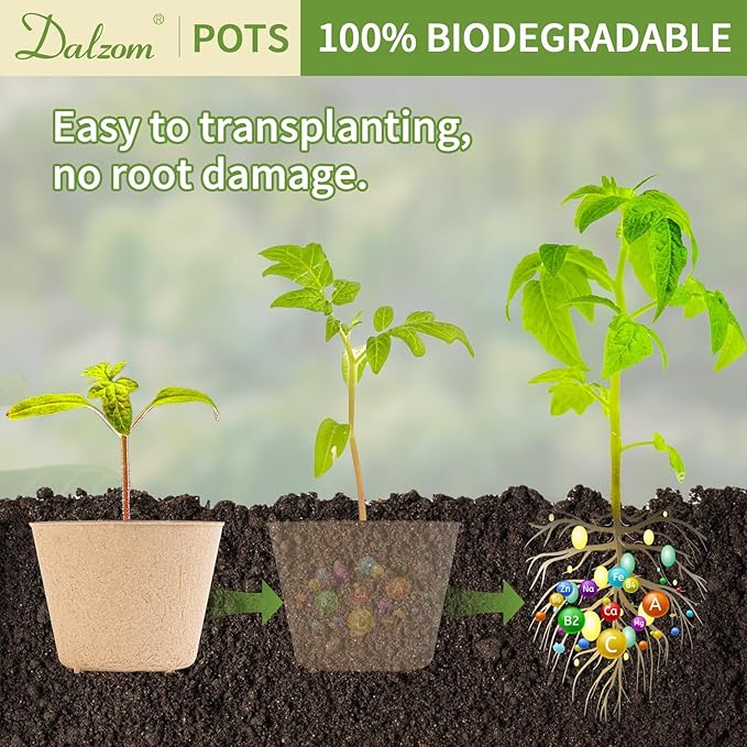 Dalzom® 60Pcs 4” Peat Pots