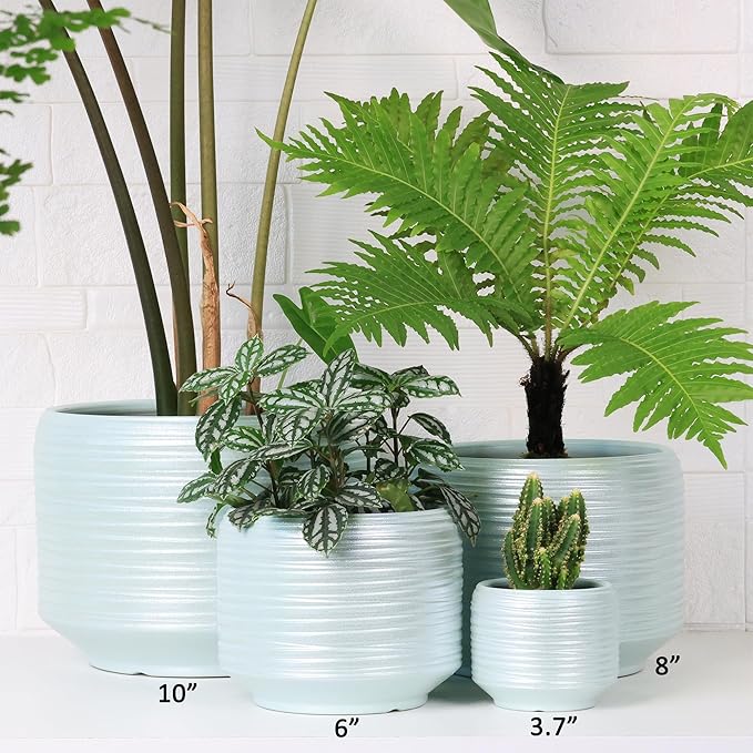 10 Inch Ceramic Plant Pot with Drainage – Large Flower Pot