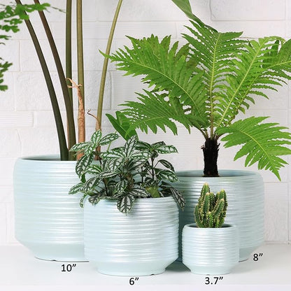 10 Inch Ceramic Plant Pot with Drainage – Large Flower Pot