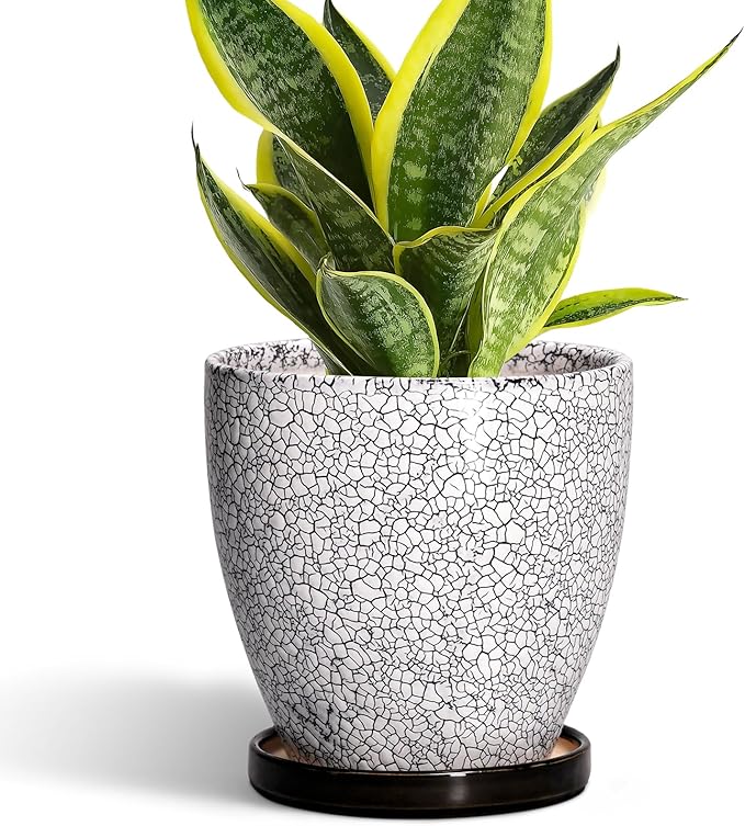 Ceramic Plant Pots