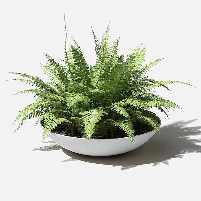 Veradek Mason Series Lane Bowl Planter|