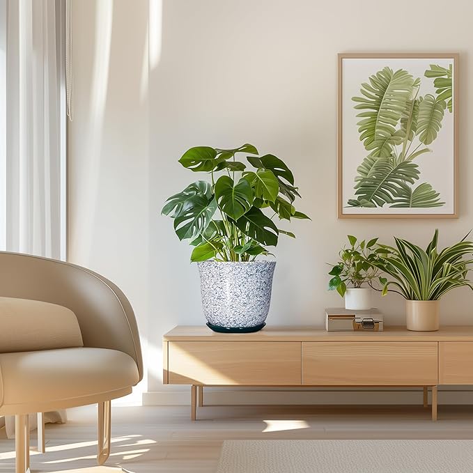 Ceramic Pots for Plants
