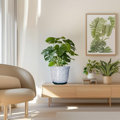 Ceramic Pots for Plants