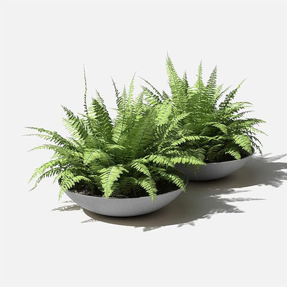 Veradek Mason Series Lane Bowl Planter|