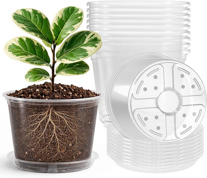 8 Packs 8 Inch Reinforced Large Clear Nursery Pots