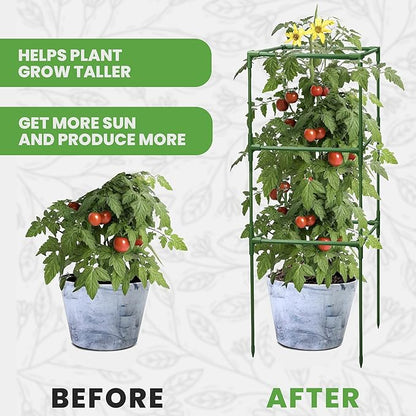 Tomato Cage Square
