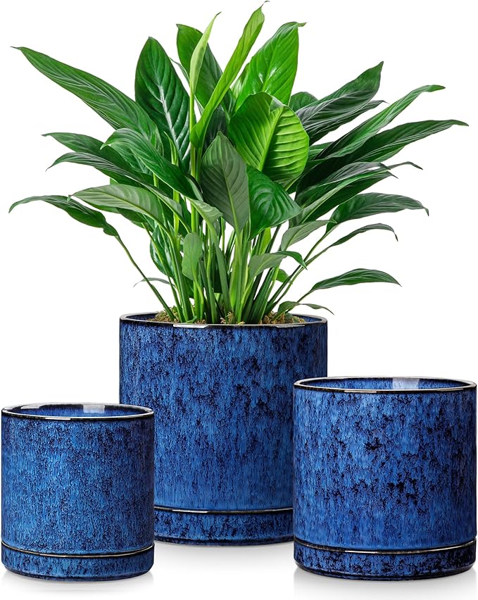 vancasso Ceramic Plant Pots, 3 Piece Planters